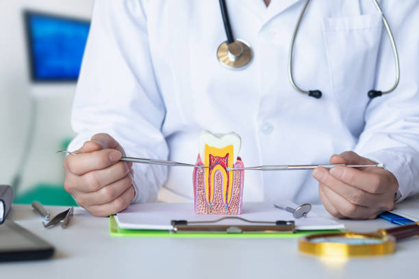 Best Emergency Wisdom Teeth Removal in Houston, MS